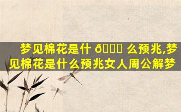 梦见棉花是什 🐘 么预兆,梦见棉花是什么预兆女人周公解梦